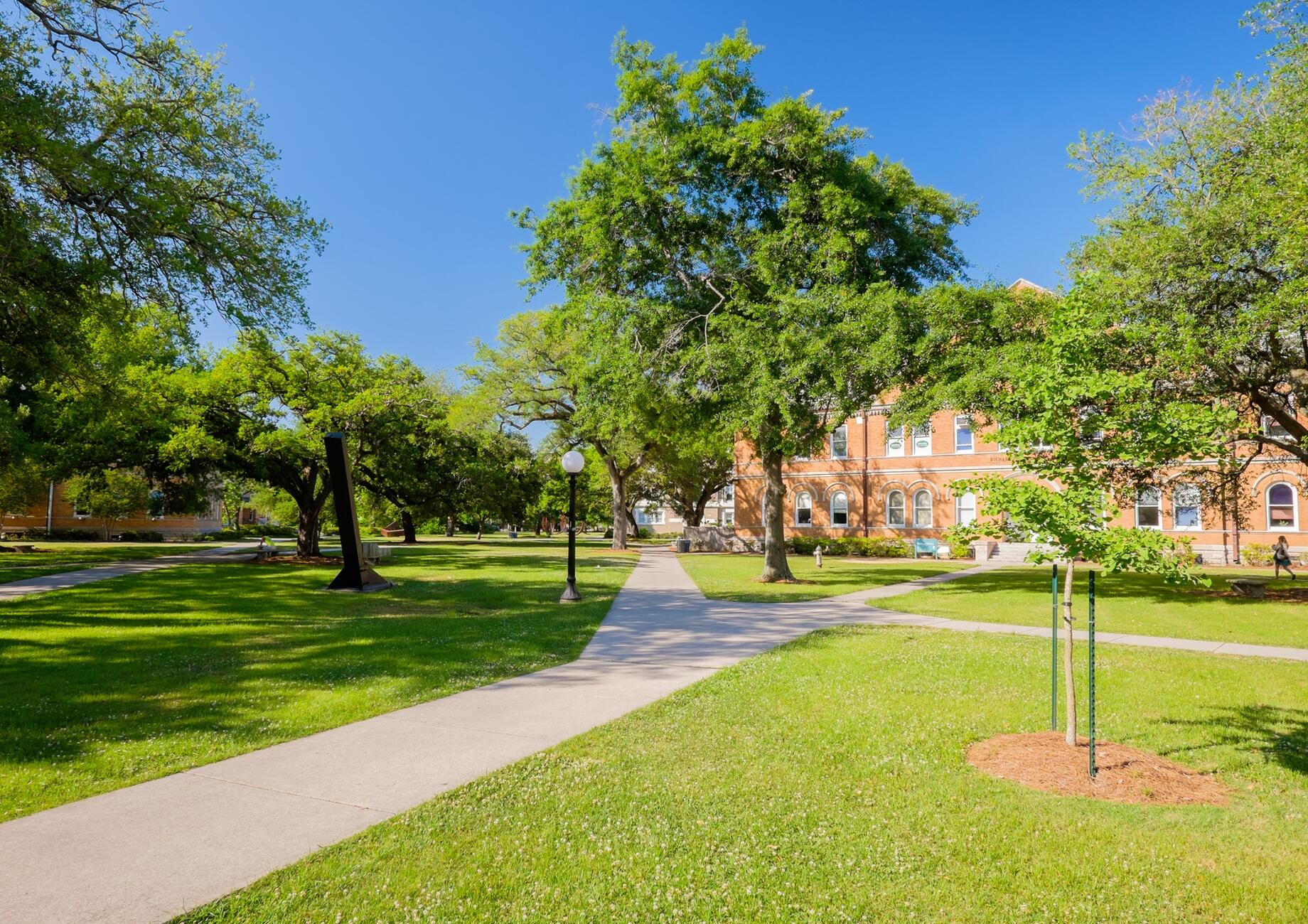 Communal gardens with houses in background