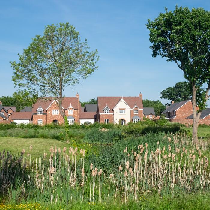 New build houses seen from across the park