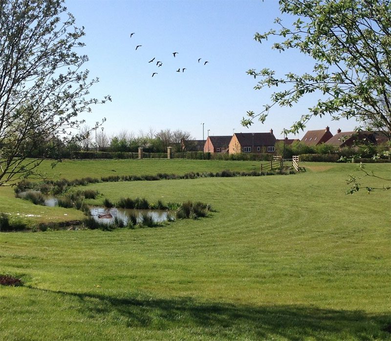 A view of the meadow which is part of Tadpole Garden Village